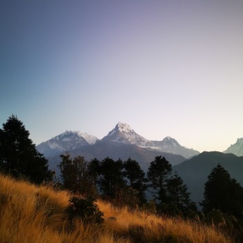 Ghorepani Poon Hill Trek / Annapurna-South